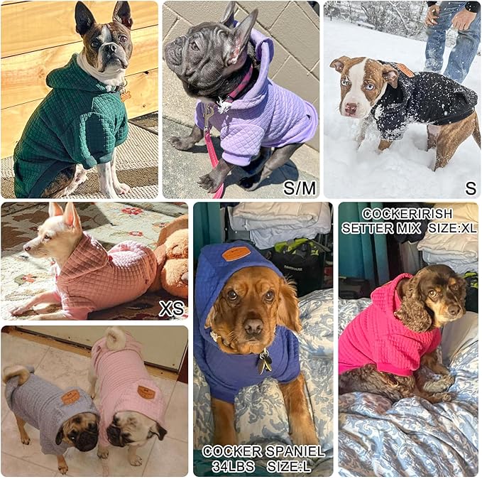 BEAUTYZOO Small Dog Hoodie Sweater with Pockets, Dog Clothes for Small Medium Dogs Boy Girl, Waffle-Like Laminated Cotton Pet Coats with Hat and Leash Hole, Navy Blue SM