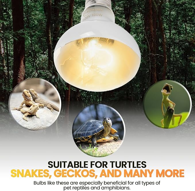 CALPALMY (4-Pack 100W Reptile Heat Lamp Bulbs - UVA Daylight Basking Light Bulbs for Reptiles, Turtles, Lizard, Bearded Dragon and Amphibians - 120V R80 Reflector Bulbs with E26 Screw Cap Base