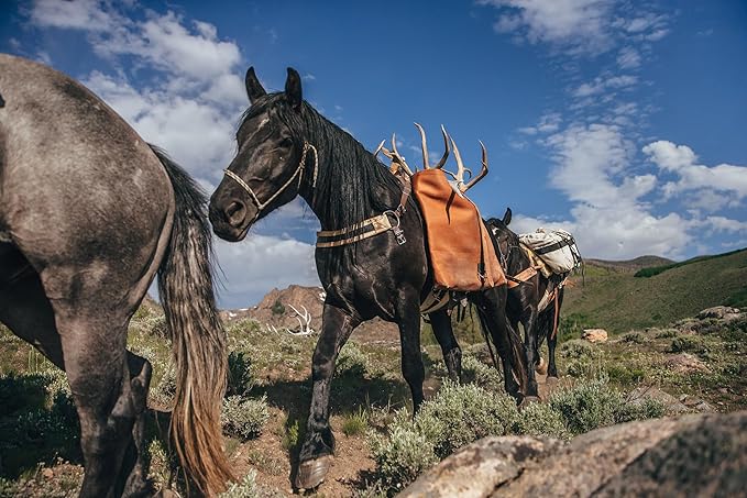 TrailMax Iron Cloth Pack Bags, Utah Pack Bags for Easy Horse and Mule Packing, Heavy Duty Iron Cloth with Nylon Straps and Reinforcement, Sold in Pair