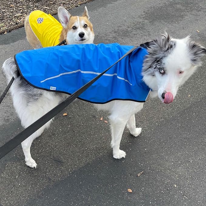 Mile High Life Dog Raincoat, Adjustable Waterproof Reflective Rain Jacket for Small Medium Large Dogs, Lightweight Breathable Pet Rain Coat with Leash Hole(Blue,XXL Chest 36-42")