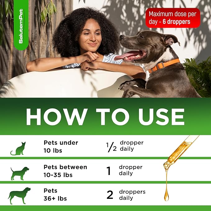 Dog Cough Medicine in Drops – Cat Cough Supplement – Kennel Cough Treatment for Dogs to Help with Sneezing & Runny Nose – Herbal Supplement – 2 Oz
