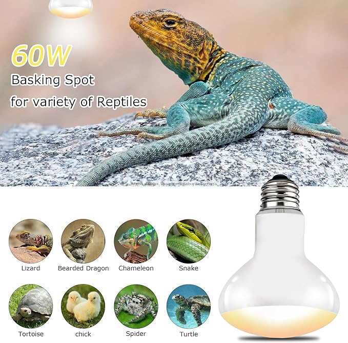 60W E26 Reptile Heat Lamp Bulbs, Upgraded UVA Basking Spot Light for Bearded Dragon, Lizard, Tortoise, Chicks & Amphibians - Simulated Natural Sunlight, Daylight Bulb fot Terrarium | 2 Pack