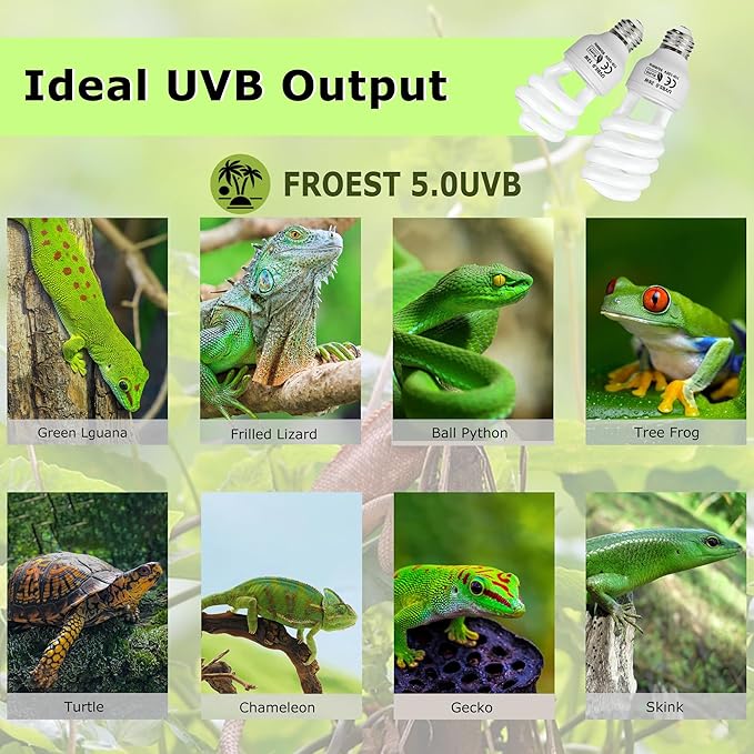 UVB 5.0 Reptile Light 13W, Tropical Terrarium Compact Fluorescent Lamp, Coil UVA-UVB Bulbs for Chameleons, Lizard, Turtle,Ideal Lighting for Small Reptile Tanks, Amphibians Terrarium Habitat
