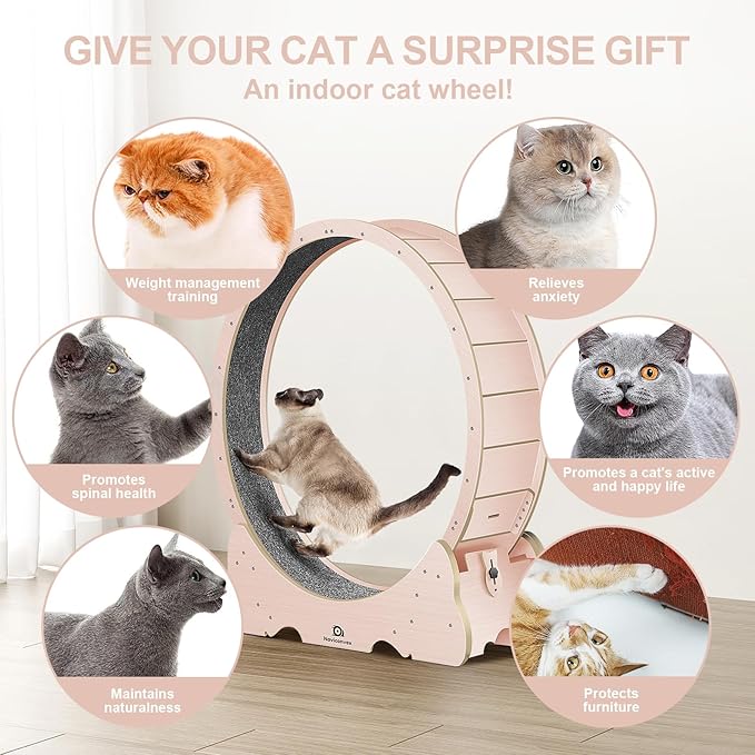 Cat Wheel, 48" XL Large Cats Exercise Running Wheel, Cat Treadmill for Indoor Cats, Pink