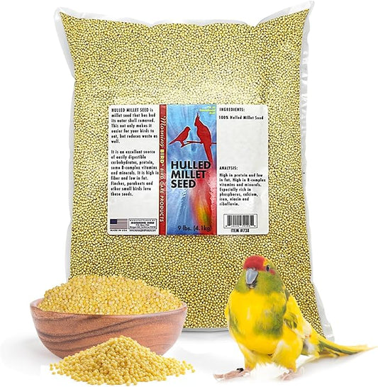 Morning Bird Hulled Millet 9 lbs – Nutritious Hulled Millet Seed, Easily Digestible with High Fiber, Rich in Vitamins and Supplements for Birds, Ideal Bird Feed for All Bird Types.