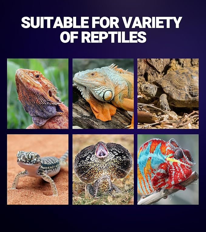 REPTI ZOO 75W Reptile Heat Lamp 2Pack Reptile Night Heat Bulb Night Heat Lamp Without UVA for Turtle Bearded Dragon Gecko Lizard and Snake E26/E27 Purple
