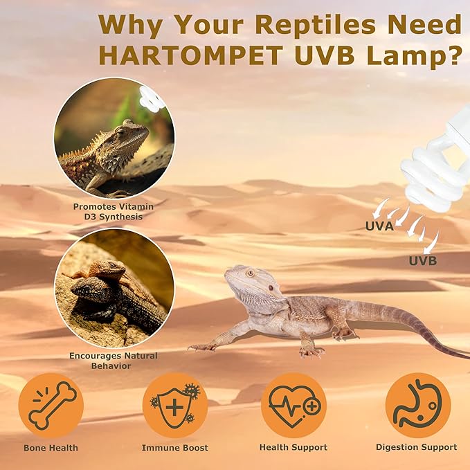 UVB 10.0 Reptile Light 26W – Desert Lamp for Bearded Dragons, Tortoises, Iguanas, Lizards & Other Sun-Loving Reptiles – Coil Bulb for Terrariums & Tanks