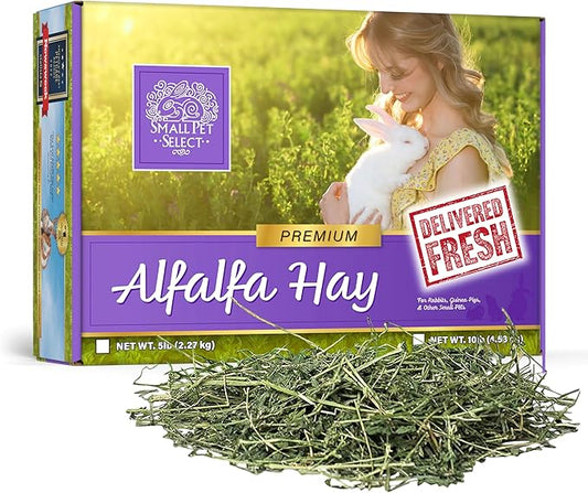 Small Pet Select Alfalfa Hay Pet Food for Young Rabbits, Guinea Pigs, Chinchillas, Tortoises and Other Small Animals, Easy to Store Box, 5 LB