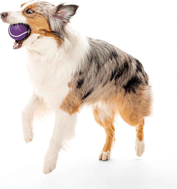 Playology Squeaky Dog Toy | Durable Rubber Interactive Dog Ball | Bacon Scented Fetch Ball for Large Dogs | Floating Dog Toy Made from Non Toxic Materials
