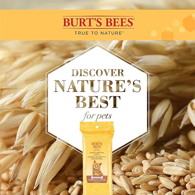 Burt's Bees for Pets Cat Dander Wipes with Colloidal Oat Flour, 98% Natural Origin Formulas, Cats Dandruff Remedy, Feline Cleansing Sheets for Allergy Relief, 3pk, 50ct