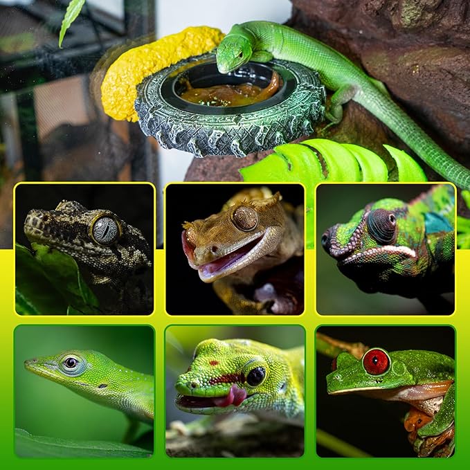 Magnetic Crested Gecko Feeding Ledge, Reptile Feeder Ledge with PVC Food Bowls, Tire-Shaped Reptile Water Dish for Crested Gecko Leopard Gecko Lizard Frog Bearded Dragon