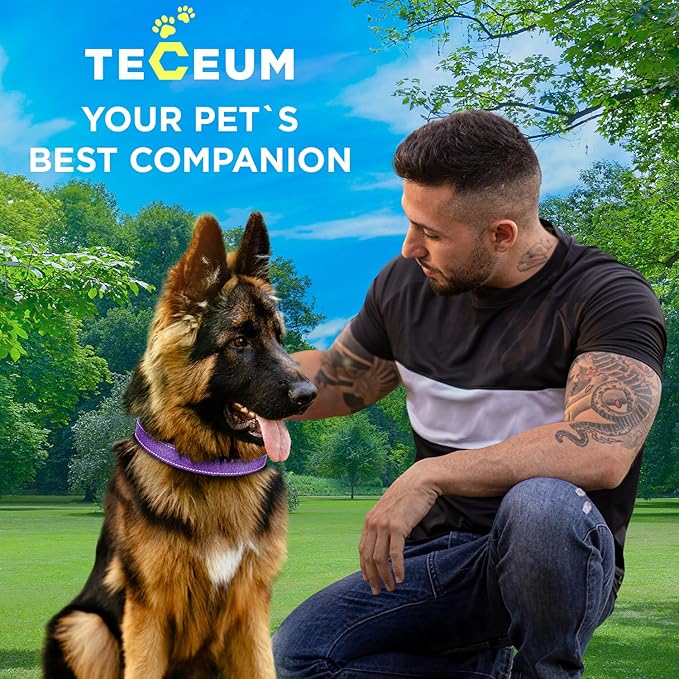 TECEUM Reflective Dog Collar – Purple – XL – Extra Soft Padding – Basic Nylon Pet Collar – Quick Release Buckle – Fits Small, Medium and Large Dogs, Puppies, Cats – ESA & Service Dog Options