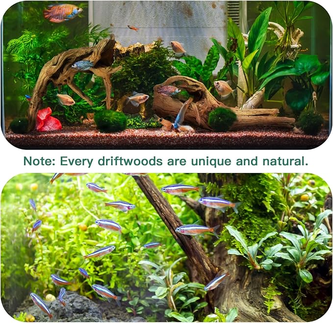 Driftwood for Aquarium, 2 Pieces 14-18 Inches Large Natural Drift Wood Fish Tank Assorted Branch Decorations for Reptile Hide