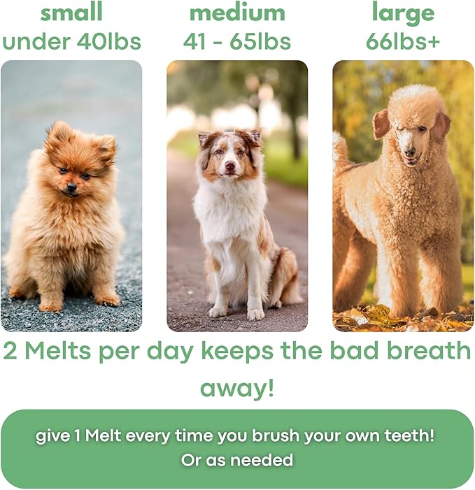 Dog Breath Freshener 5 in 1 – 30 Oral Strips – Natural Sage, Spirulina, Apple Cider Vinegar – Dogs Dental Care Products, Fresh Breath & Oral Hygiene Support – No Chew Dog Breath Mints
