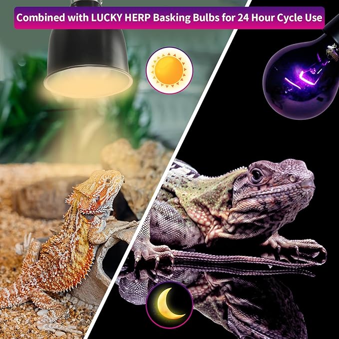 LUCKY HERP Reptile Heat Lamp 50W 2 Pack, Reptile Night Heat Bulb, Reptiles & Amphibians Basking Spot Light Bulb for Bearded Dragon, Lizard, Snake, Turtle, Chameleon