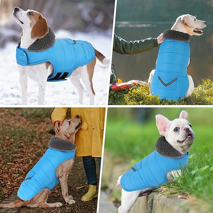 Dog Coat, Waterproof Dog Winter Jacket with Pocket, Reflective Adjustable Pet Snow Vest, Warm Cozy Fleece Sweater for Small Medium Extra Large Dogs - Sky Blue, XS