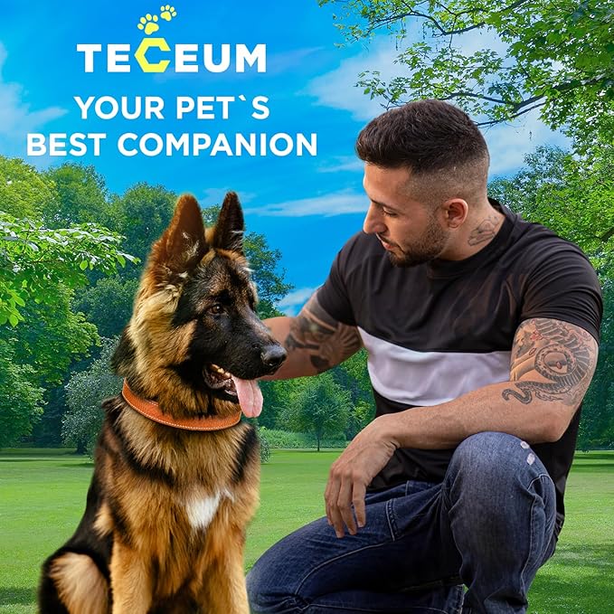 TECEUM Reflective Dog Collar – Orange – M – Extra Soft Padding – Basic Nylon Pet Collar – Quick Release Buckle – Fits Small, Medium and Large Dogs, Puppies, Cats – ESA & Service Dog Options