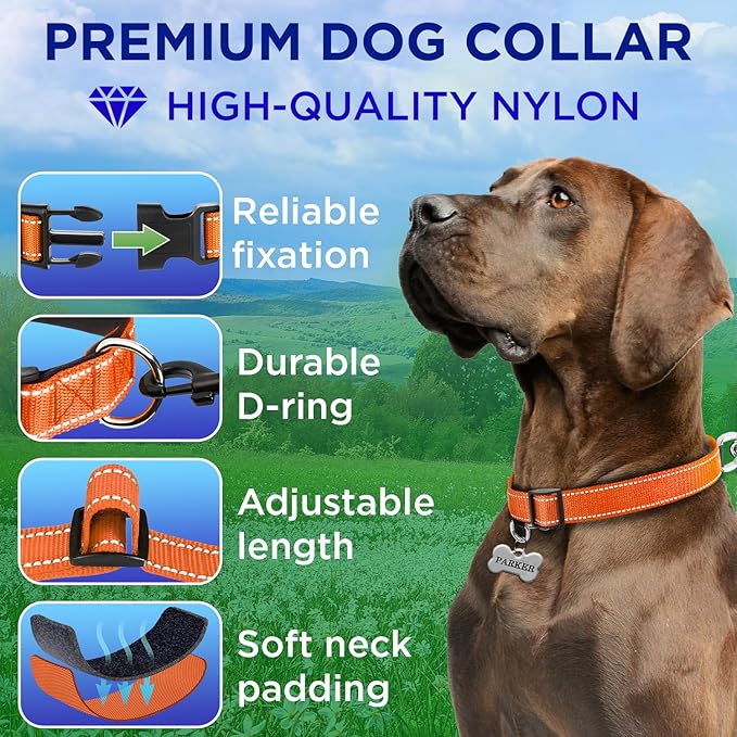 TECEUM Reflective Dog Collar – Orange – XXS – Extra Soft Padding – Basic Nylon Pet Collar – Quick Release Buckle – Fits Small, Medium and Large Dogs, Puppies, Cats – ESA & Service Dog Options