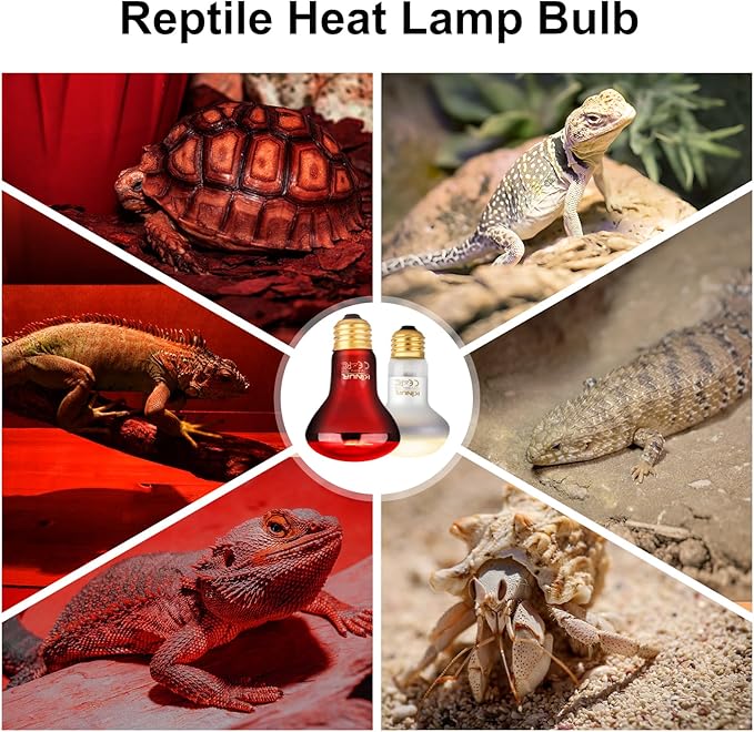 KINUR 2 Pack 75W Reptile Heat Lamp Bulbs, Reptile Day and Night Basking Spot Bulb Combo Amphibian Infrared Heat Lamp Bulb/UVA Basking Spot Daylight Heating Light Bulb