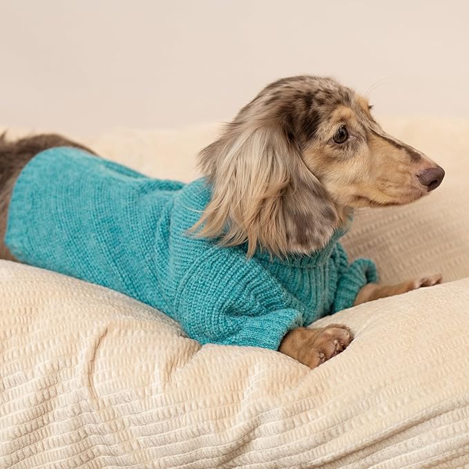 Fitwarm Turtleneck Dog Knitted Sweater, Thermal Winter Clothes for Small Dogs - Boy, Girl, Doggy Pullover Jumper, Pet Outfit, Teal Blue, XS
