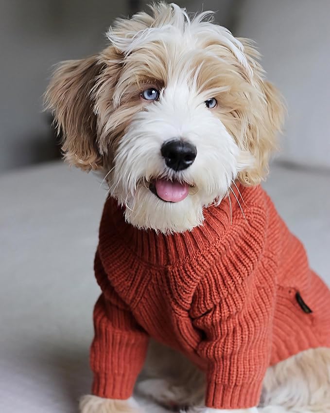 Fitwarm Thermal Knitted Dog Sweater Doggy Winter Coat Pet Clothes Doggie Turtleneck Jacket Puppy Outfits Cat Sweatsuit Red XX-Large