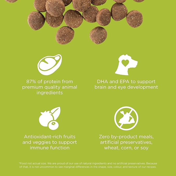 Go! Solutions Carnivore, Grain-Free, Protein Rich Dry Dog Food, Chicken, Turkey and Duck Puppy Recipe, Small Kibble, 22 lb Bag