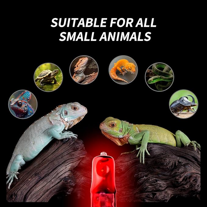 G9 Red Heat Lamp Bulbs for Reptiles 25W 4Pack,Mini Night Halogen Light Bulbs,Dimmable Infrared Heat Light for Tortoise,Turtle,Gecko,Bearded Dragon,Lizard Tank
