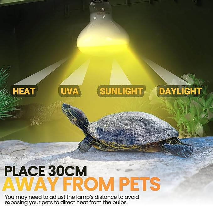 CALPALMY (4-Pack 100W Reptile Heat Lamp Bulbs - UVA Daylight Basking Light Bulbs for Reptiles, Turtles, Lizard, Bearded Dragon and Amphibians - 120V R80 Reflector Bulbs with E26 Screw Cap Base