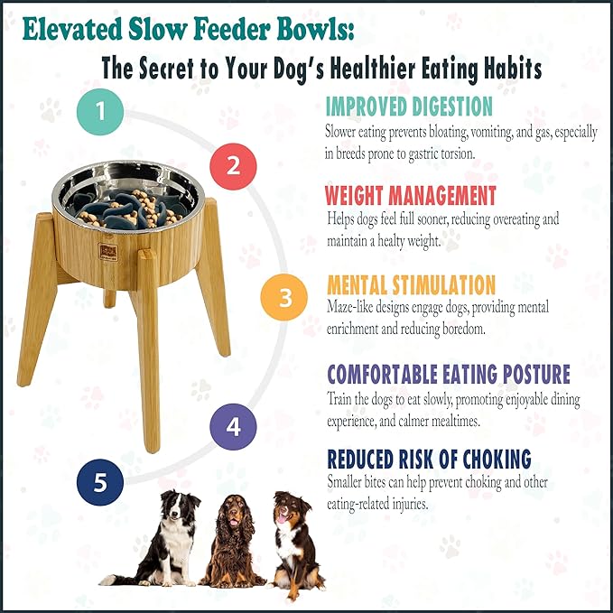 Slow Feeder Dog Bowls for Large Breed - 12-inch High Elevated, Raised Single Food Station - Detachable Parts, Suitable for Treats, Wet/Dry Pet Foods