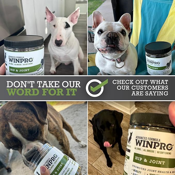 WINPRO Hip & Joint Supplement for Dogs - Plasma Powered Chews for Joint Health & Mobility – Fast-Acting with Collagen & Natural Ingredients for Dogs of All Breeds – 60 Chews – Made in USA