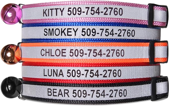 GoTags Personalized Reflective Cat Collars, Engraved Custom Cat Collar with Name and Phone Identification, Breakaway Collar with Safety Release Buckle and Bell, Adjustable for Cats and Kitten (Orange)