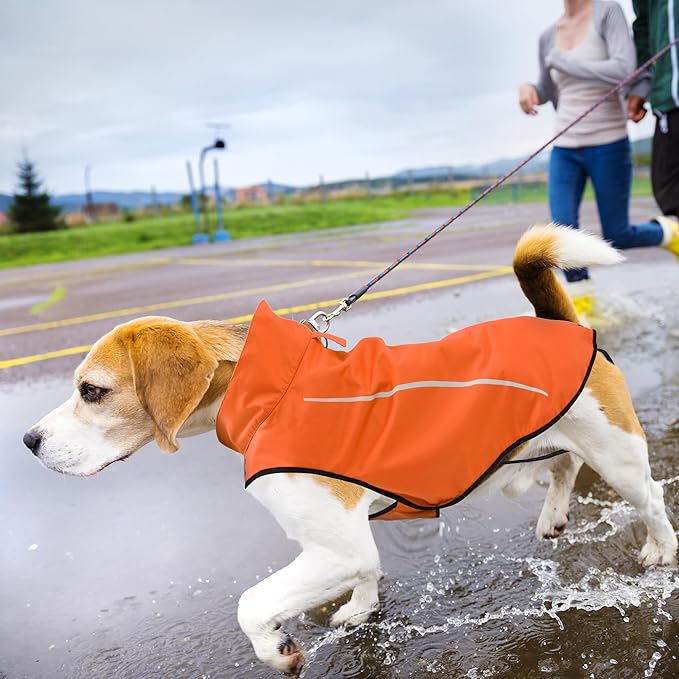 Mile High Life Dog Raincoat, Adjustable Waterproof Reflective Rain Jacket for Small Medium Large Dogs, Lightweight Breathable Pet Rain Coat with Leash Hole(Orange,S Chest 22-25")