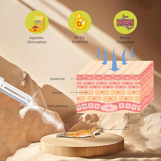 UVB Linear Tube Bulb 10.0, 13W - Desert Terrarium Lamp, Compact Fluorescent Lamp, Suit for Bearded Dragon, Leopard Gecko, Tortoise & All Desert-Dwelling Reptiles Habitat Lighting