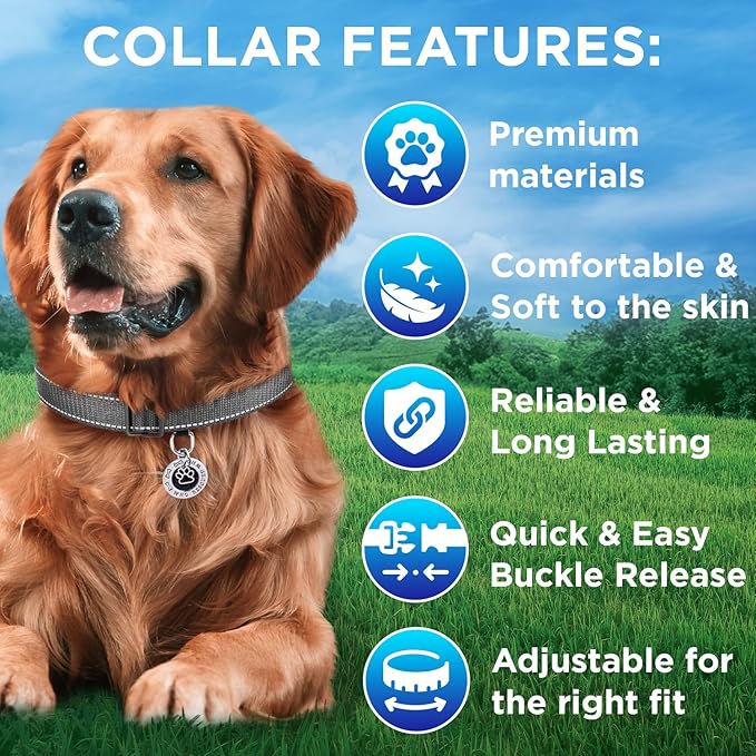 TECEUM Reflective Dog Collar – Gray – XL – Extra Soft Padding – Basic Nylon Pet Collar – Quick Release Buckle – Fits Small, Medium and Large Dogs, Puppies, Cats – ESA & Service Dog Options