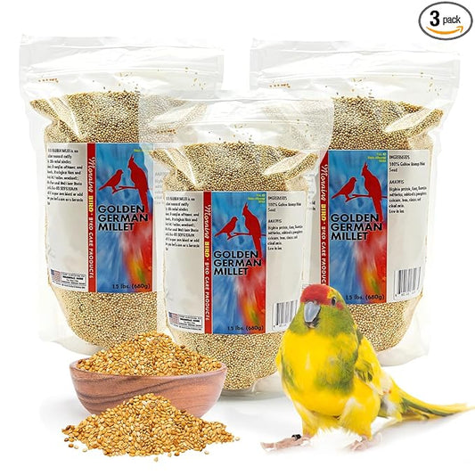 Morning Bird Golden German Millet – Bird Seed & Parakeet Food with Protein & Vitamin B – Easy-to-Digest Millet Seed, Natural Food & Daily Nutrition for All Type of Bird 4.5 lbs (3-Pack, 1.5 lbs Each)