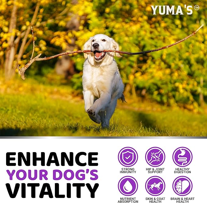 Dog Multivitamin Chewable with Glucosamine - 240 Treats - Dog Vitamins and Supplements - Senior & Puppy Multivitamin for Dogs - Hip & Joint Support - Immune Health, Skin, Heart, Digestion, Probiotics