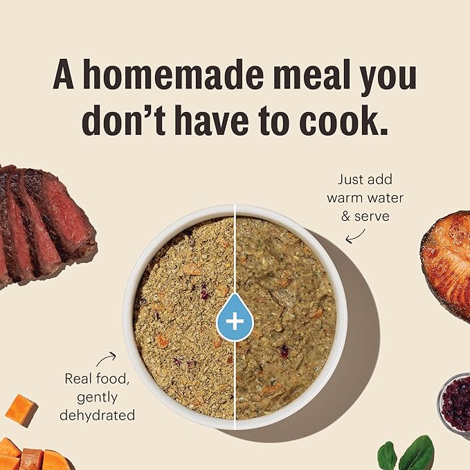 The Honest Kitchen Dehydrated Grain Free Beef Dog Food, 7 lb Box