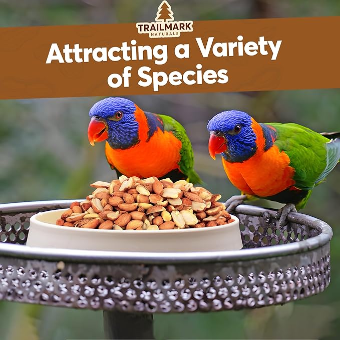 3 LB - Raw Shelled Peanuts For Squirrels, Out of Shell Peanuts For Birds and Wildlife- Squirrel Food, Wild Bird Seed - Grown in The USA