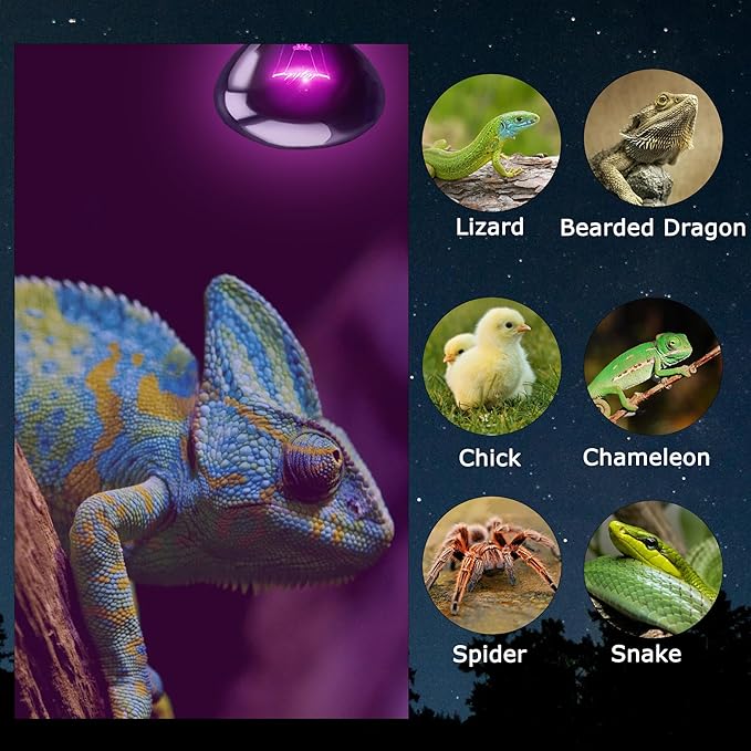 60W Reptile Night Light Bulb - Simulate Natural Moonlight for Bearded Dragons, Lizards, Snakes, and Amphibians - UVA Basking Lamp for Aquariums & Tanks, Enhance Health and Activity