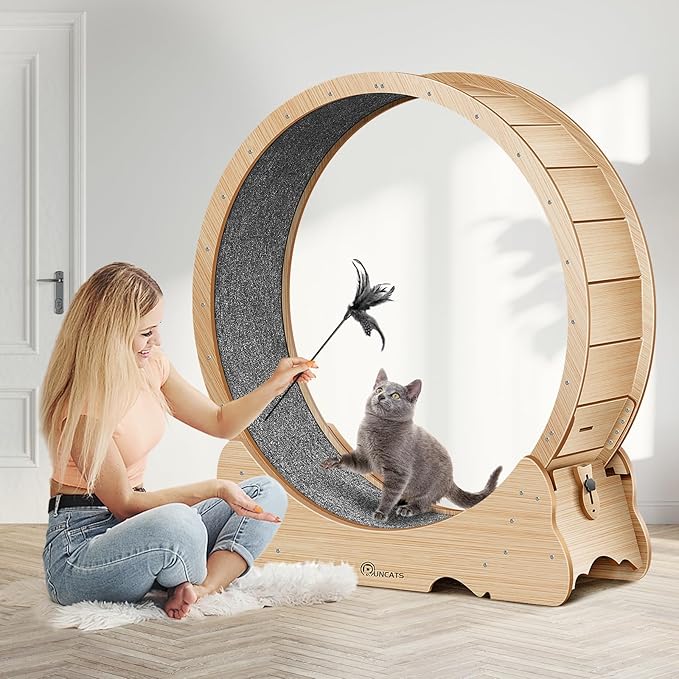 Cat Wheel, 48" XL Large Cats Exercise Running Wheel, Cat Treadmill for Indoor Cats