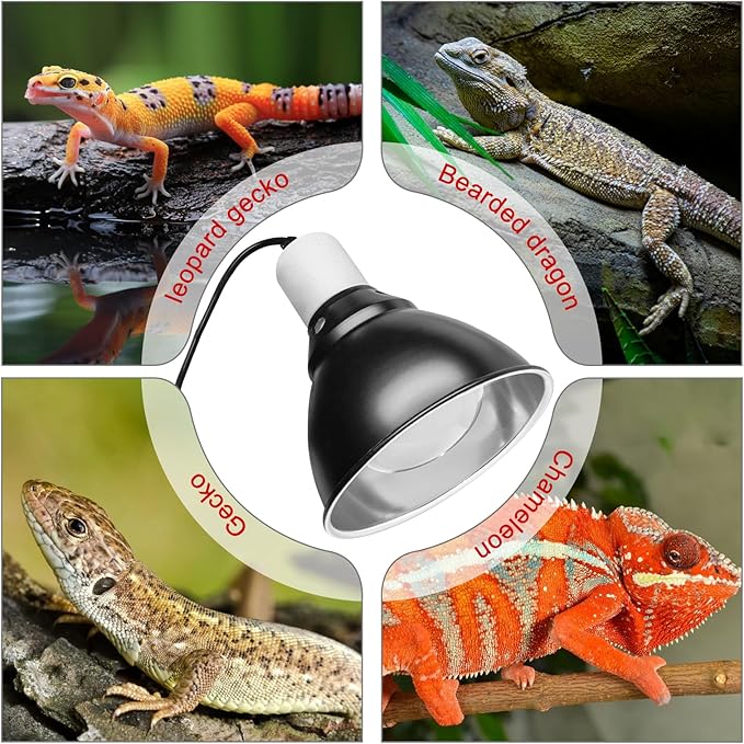 Reptile Lamp Bulb Fixture 5.5 Inch Deep Dome with Switch - Ideal for 60W/75W/100W/150W Heat Lamp Bulbs, Compatible with All E26 UVA/UVB/Basking Heat Bulbs, Supports Up to 150 Watts