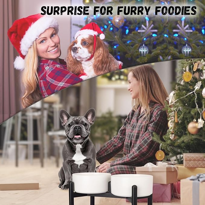 Raised Ceramic Dog Bowl Set - Elevated Double Dishes with Stainless Steel Stand - Food and Water Bowls for Small to Medium Dogs - Each Holds 2 Cups (28.75 fl oz) - Green