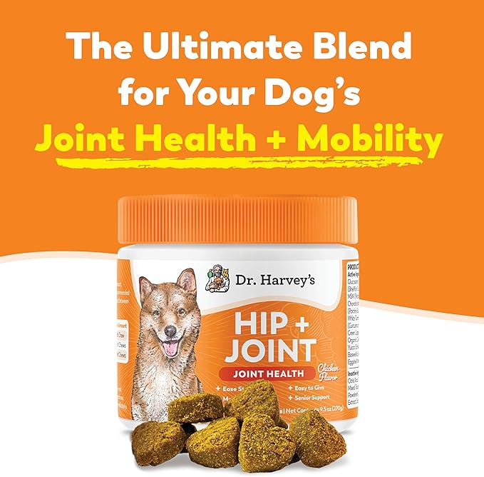 Dr. Harvey's Hip & Joint Soft Chews for Dogs, Daily Mobility Supplement Chewable Bites for Dogs with Glucosamine, Chondroitin & MSM, Green Lipped Mussel, Chicken Flavor (90 Chews)