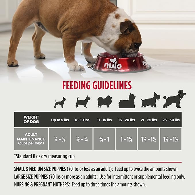 Nulo Freestyle High Protein Small Breed Beef & Sweet Potato Recipe Natural Dry Kibble Dog Food, 14 Pound Bag