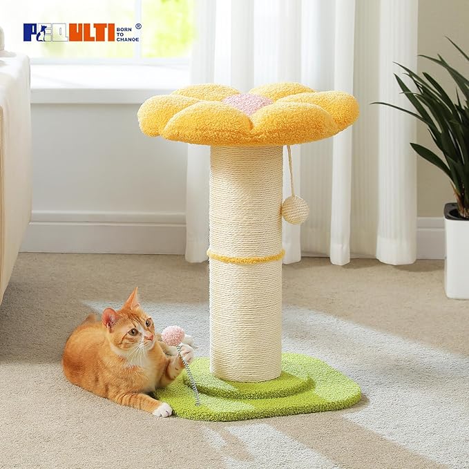 PEQULTI Flower Cat Scratching Post, Small Cat Tree, Scratcher for Indoor Cats with Super Thick Scratching Post [Dia=5.5''], Removable Flower Bed, Cat Scratch Post with Spring Ball, Yellow
