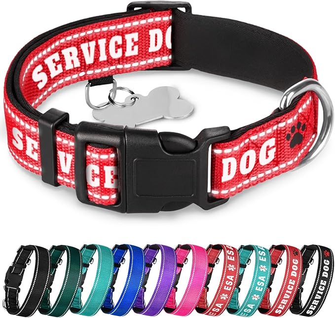 TECEUM Reflective Pet Collar – Red - Service Dog – M – Extra Soft Padding – Basic Nylon Dog Collar – Quick Release Buckle – Fits Small, Medium and Large Dogs, Puppies, Cats