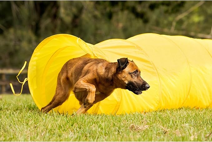 Midlee Dog Agility Tunnel with Stakes & Carry Bag, 17' Long