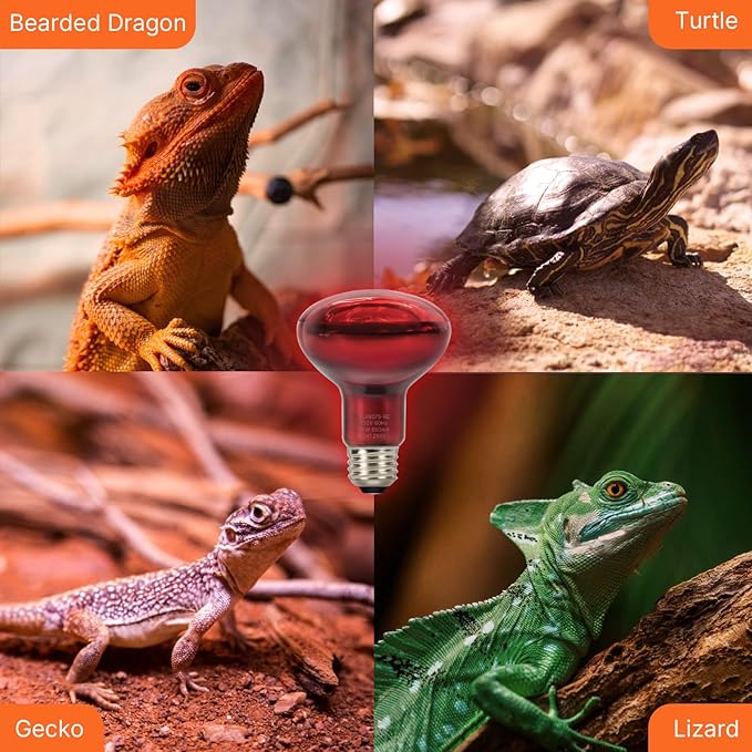ALAMPEVER 2 Pack Red Heat Lamp Bulb, 75 Watt Infrared Light Bulb for Bearded Dragon, E26 Base, Durable Reptile Heat Bulb for Amphibian, Lizard, Tortoise, Gecko