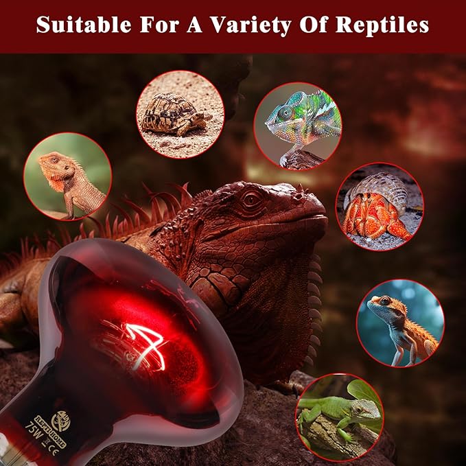 Reptile Heat Lamp,75W Red Basking Spot Lamp Bulb for Chickens Amphibians, Infrared Heat Emitter Light for Coop