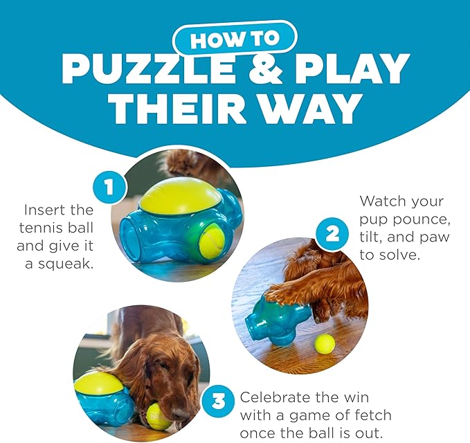 Outward Hound Tennis Maze Craze Interactive Squeaky Dog Toy, Blue